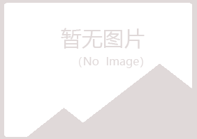 惠州惠阳夜山能源有限公司